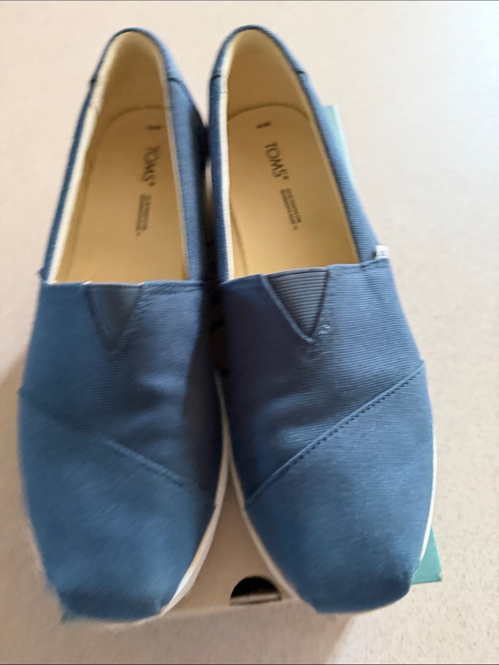 Toms Slip-On Canvas Shoes in Navy Blue